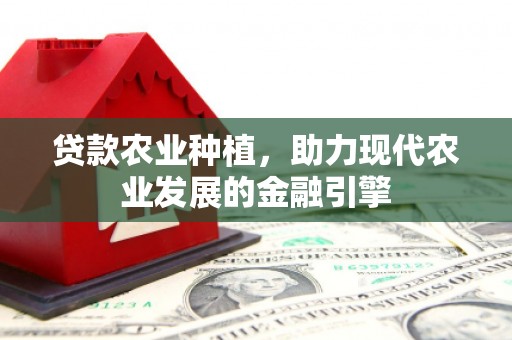 板桥贷款农业种植，助力现代农业发展的金融引擎