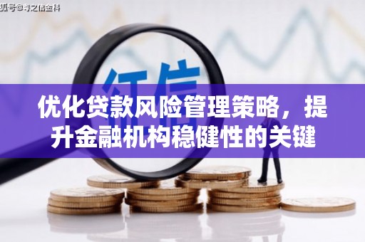 板桥优化贷款风险管理策略，提升金融机构稳健性的关键