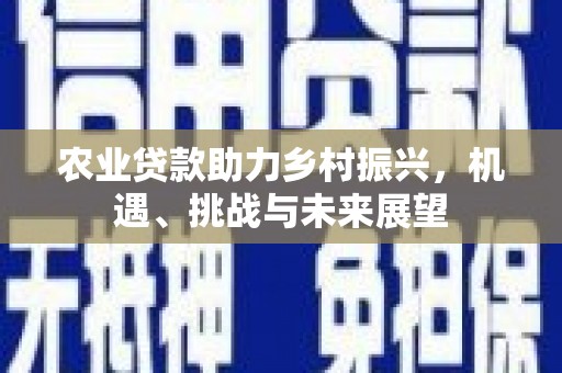 板桥农业贷款助力乡村振兴，机遇、挑战与未来展望