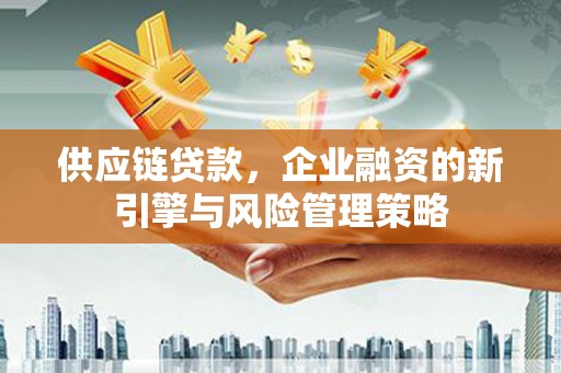 板桥供应链贷款，企业融资的新引擎与风险管理策略