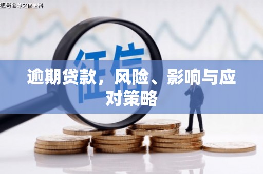 板桥逾期贷款，风险、影响与应对策略