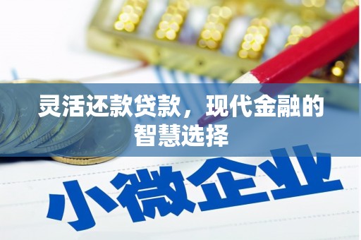 板桥灵活还款贷款，现代金融的智慧选择