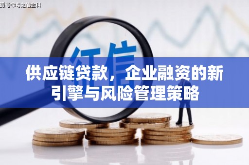 板桥供应链贷款，企业融资的新引擎与风险管理策略