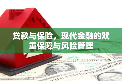 板桥贷款与保险，现代金融的双重保障与风险管理