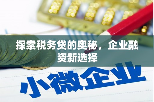 板桥探索税务贷的奥秘，企业融资新选择