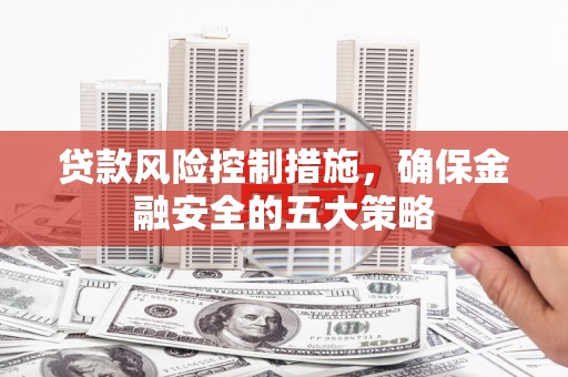 板桥贷款风险控制措施，确保金融安全的五大策略