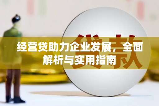 板桥经营贷助力企业发展，全面解析与实用指南