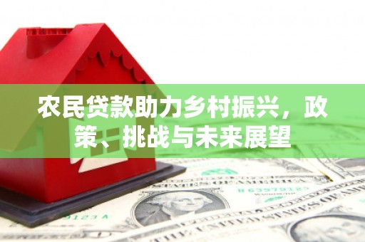 板桥农民贷款助力乡村振兴，政策、挑战与未来展望