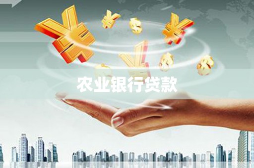 板桥农业银行贷款