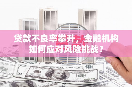 板桥贷款不良率攀升，金融机构如何应对风险挑战？