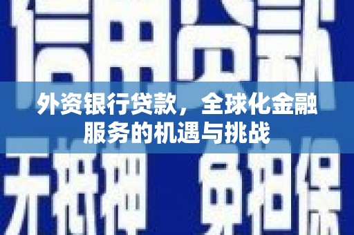 板桥外资银行贷款，全球化金融服务的机遇与挑战