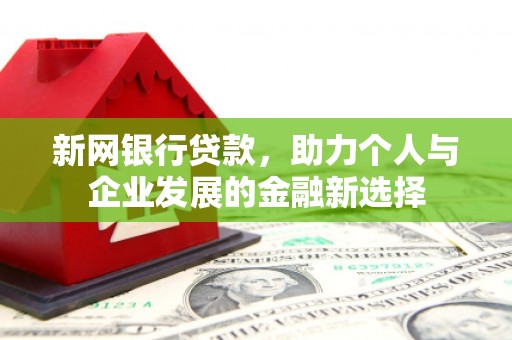 板桥新网银行贷款，助力个人与企业发展的金融新选择