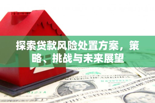 板桥探索贷款风险处置方案，策略、挑战与未来展望