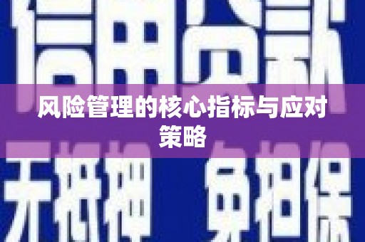 板桥风险管理的核心指标与应对策略