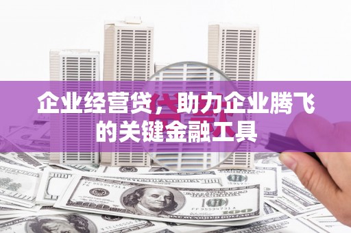 板桥企业经营贷，助力企业腾飞的关键金融工具