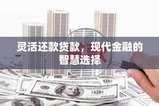 板桥灵活还款贷款，现代金融的智慧选择