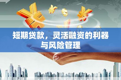 板桥短期贷款，灵活融资的利器与风险管理