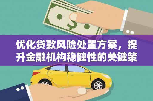 板桥优化贷款风险处置方案，提升金融机构稳健性的关键策略