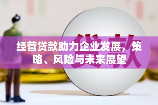 板桥经营贷款助力企业发展，策略、风险与未来展望