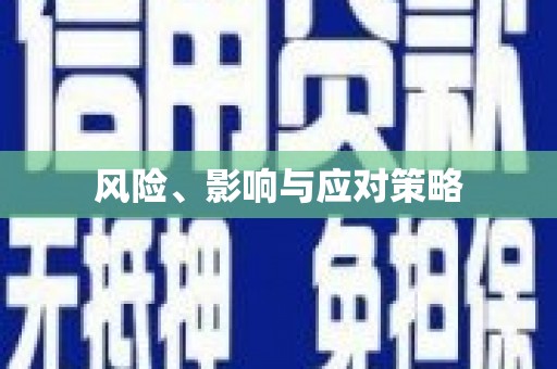 板桥风险、影响与应对策略