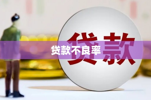 板桥贷款不良率