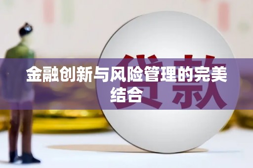 板桥金融创新与风险管理的完美结合