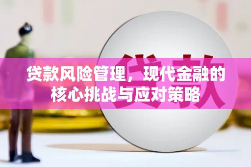 板桥贷款风险管理，现代金融的核心挑战与应对策略