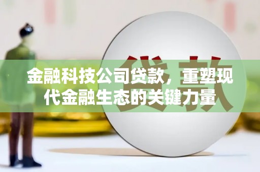 板桥金融科技公司贷款，重塑现代金融生态的关键力量
