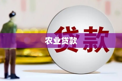 板桥农业贷款