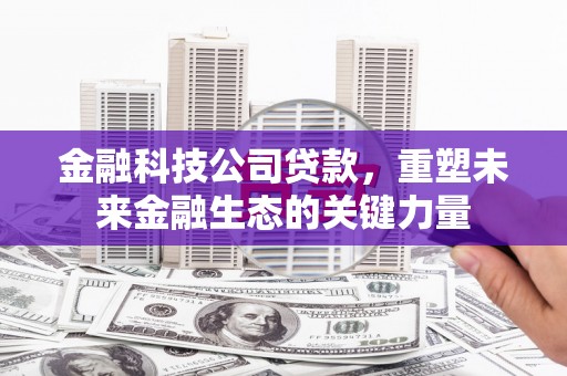 板桥金融科技公司贷款，重塑未来金融生态的关键力量