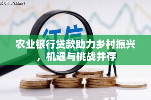 板桥农业银行贷款助力乡村振兴，机遇与挑战并存