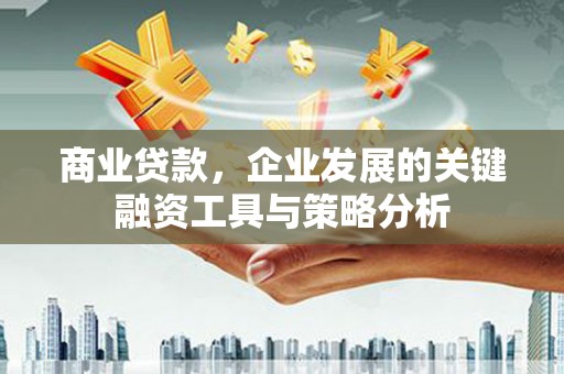 板桥商业贷款，企业发展的关键融资工具与策略分析