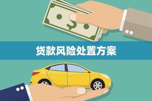 板桥贷款风险处置方案