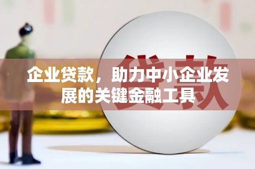 板桥企业贷款，助力中小企业发展的关键金融工具