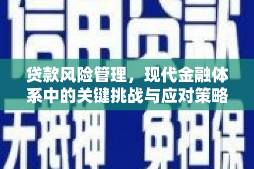 板桥贷款风险管理，现代金融体系中的关键挑战与应对策略