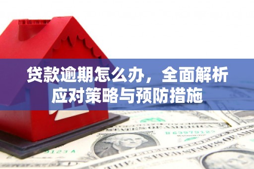 板桥贷款逾期怎么办，全面解析应对策略与预防措施