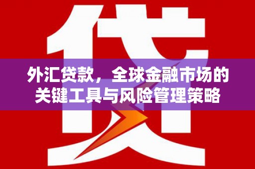 板桥外汇贷款，全球金融市场的关键工具与风险管理策略