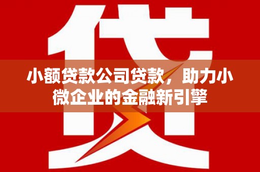 板桥小额贷款公司贷款，助力小微企业的金融新引擎