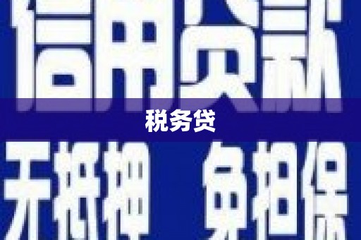 板桥税务贷