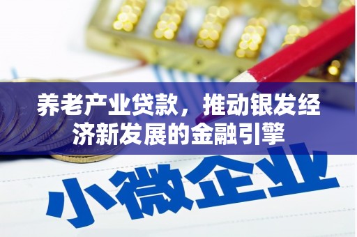 板桥养老产业贷款，推动银发经济新发展的金融引擎