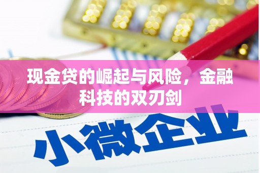 板桥现金贷的崛起与风险，金融科技的双刃剑