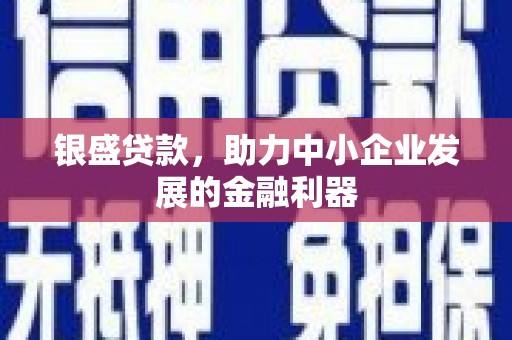 板桥银盛贷款，助力中小企业发展的金融利器