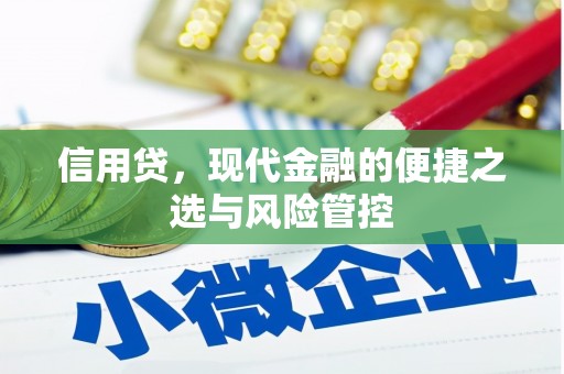 板桥信用贷，现代金融的便捷之选与风险管控