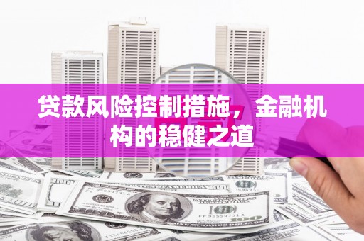 板桥贷款风险控制措施，金融机构的稳健之道