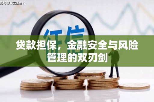 板桥贷款担保，金融安全与风险管理的双刃剑