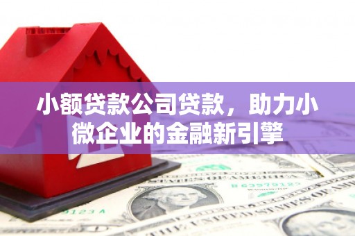 板桥小额贷款公司贷款，助力小微企业的金融新引擎