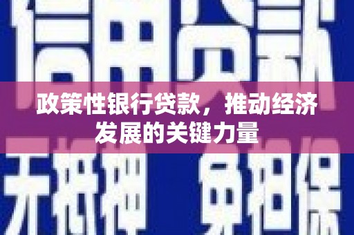 板桥政策性银行贷款，推动经济发展的关键力量