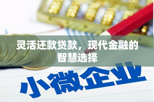 板桥灵活还款贷款，现代金融的智慧选择