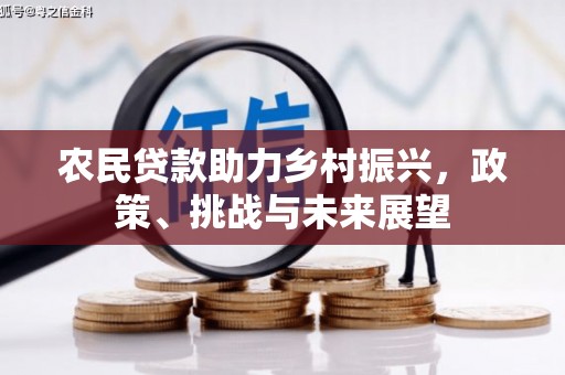 板桥农民贷款助力乡村振兴，政策、挑战与未来展望