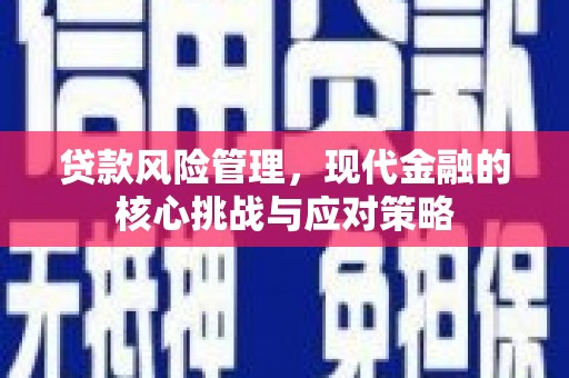 板桥贷款风险管理，现代金融的核心挑战与应对策略
